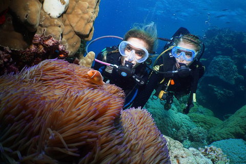 Quicksilver Dive 4 Day PADI Learn To Dive Course - Restaurant Guide 4