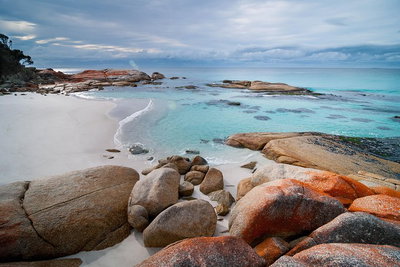 Wineglass Bay Private Charter Service