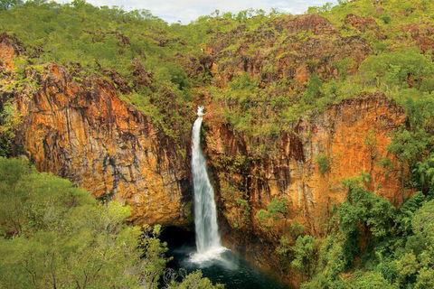 7 Days Darwin, Kakadu National Park, Katherine Gorge Touring Package - Restaurant Guide 3
