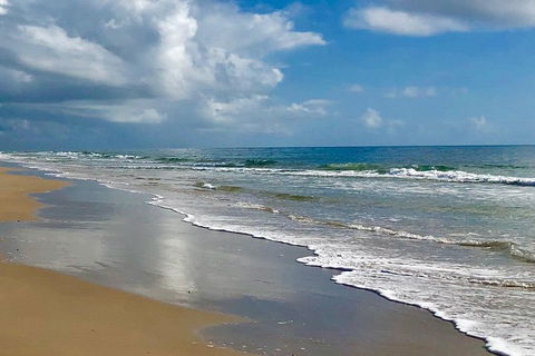 3 Nights 2 Full Days Private Guided Tour Of The Sunshine Coast And Hinterland - Restaurant Guide 4