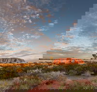 Uluru Kata Tjuta and Kings Canyon Camping Safari from Alice Springs - Restaurant Guide