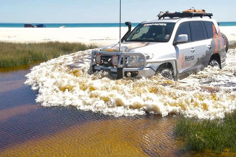 Full-Day Moreton Island 4x4 Sightseeing Tour - Restaurant Guide 0