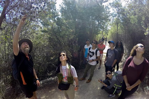 Active Day Tour One-Way From Launceston To Hobart Via Wineglass Bay - Restaurant Guide 0