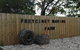 Active Day Tour One-Way From Launceston To Hobart Via Wineglass Bay - thumb 3