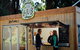 Private Royal Tasmanian Botanical Gardens Walking Tour - thumb 2
