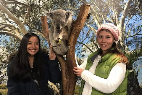 The Ultimate Sydney Attractions Pass - Restaurant Guide 1