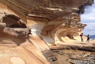 Hobart Minibus Full-Day Private Tour