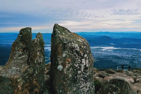 Mt Wellington Tour And MONA Admission - Restaurant Guide 2