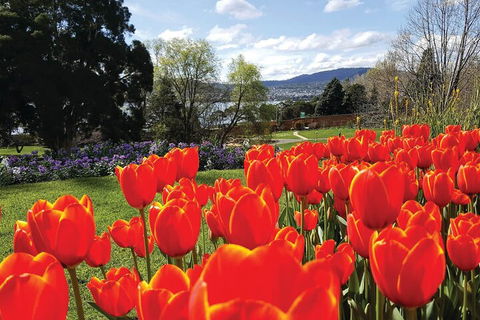 Hobart Half-Day Sightseeing Coach Tram Tour - Restaurant Guide 4
