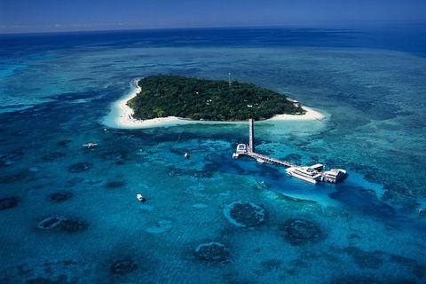 Green Island Day Trip Including Seawalker Helmet Dive COMBO - Restaurant Guide 5