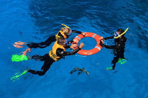 Great Barrier Reef Adventure From Cairns - Restaurant Guide 3