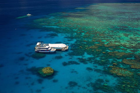 Great Barrier Reef Adventure From Cairns - Restaurant Guide 4