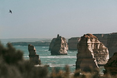 Half-Day or Full-Day Tour with Private Guide from Melbourne