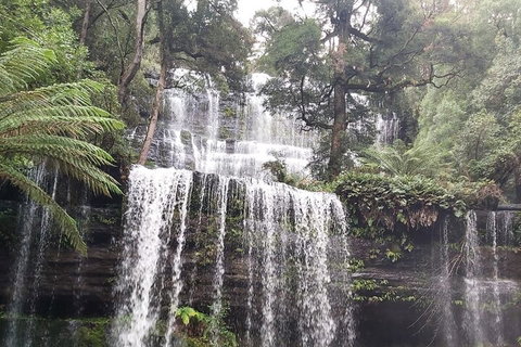 6-Day Hearty Tasmania Tour (Tasmania In A Circle) - Restaurant Guide 0