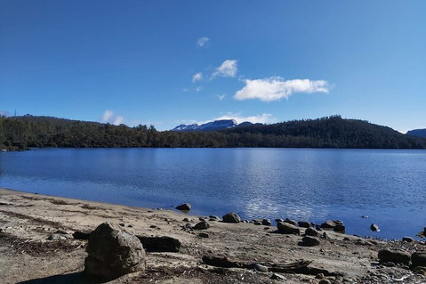 6-Day Hearty Tasmania Tour (Tasmania In A Circle) - Restaurant Guide 1