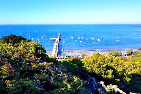 Mornington Peninsula Sightseeing Tour For 2-6 Guests. - Restaurant Guide 1