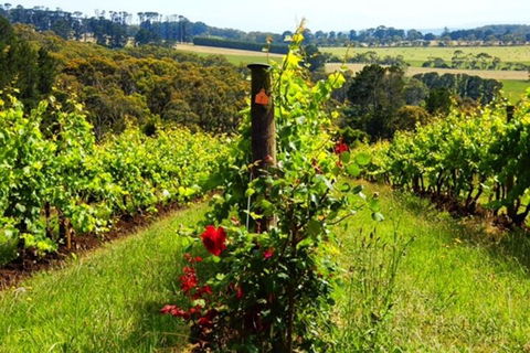 Mornington Peninsula Sightseeing Tour For 2-6 Guests. - Restaurant Guide 3