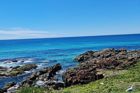 Private Custom Byron Bay Day Out - Restaurant Guide 4