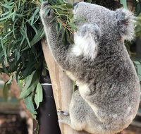Private Blue Mountains and Wildlife Park Tour from Sydney with Barbecue Lunch - Restaurant Guide