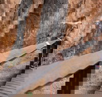 Chillagoe Caves and Outback Day Trip from Cairns - Restaurant Guide