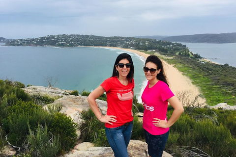Small-Group Sydney's Northern Beaches And Ku-ring-gai National Park Bus Tour - Restaurant Guide 3