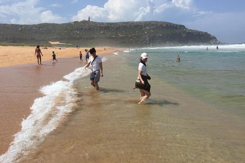 Small-Group Sydney's Northern Beaches And Ku-ring-gai National Park Bus Tour - Restaurant Guide 5