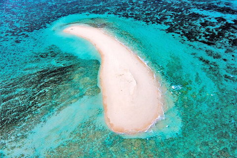 Private Coral Cay Bubbles Tour - Restaurant Guide 3