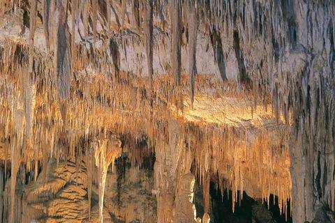 Margaret River, Caves, Wine And Cape Leeuwin Lighthouse Tour From Perth - Restaurant Guide 3