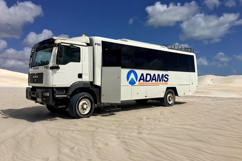 Pinnacles Desert, Koalas And Sandboarding 4WD Day Tour From Perth - Restaurant Guide 2