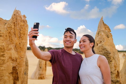 Pinnacles Desert, Koalas And Sandboarding 4WD Day Tour From Perth - Restaurant Guide 4