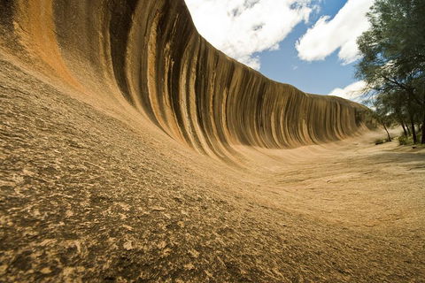 Wave Rock, York, Wildflowers, And Aboriginal Cultural Day Tour From Perth - Restaurant Guide 0