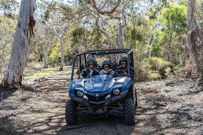 Small-Group Buggy Tour at Little Sahara with Guide