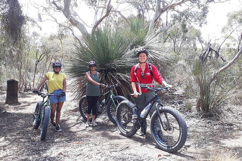 2 Hour Bike Tour In Kangaroo Island - Restaurant Guide 0