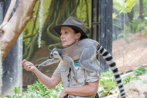 Currumbin Wildlife Sanctuary General Entry Ticket - Restaurant Guide 1