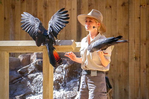 Currumbin Wildlife Sanctuary General Entry Ticket - Restaurant Guide 4