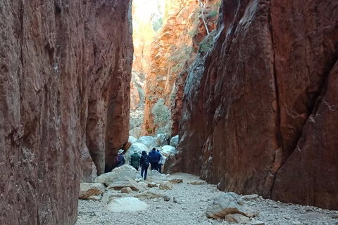 West MacDonnell Private Tour With Transfer - Restaurant Guide 0