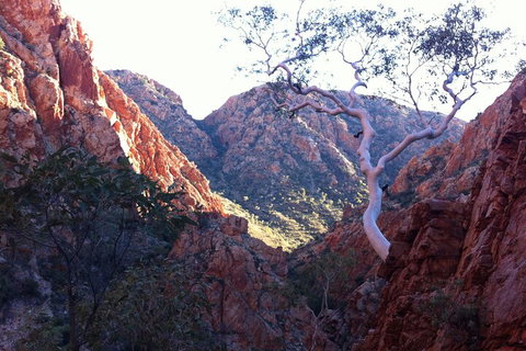 West MacDonnell Private Tour With Transfer - Restaurant Guide 3