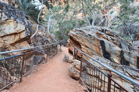 West MacDonnell Ranges Half - Day Tour - Restaurant Guide 0