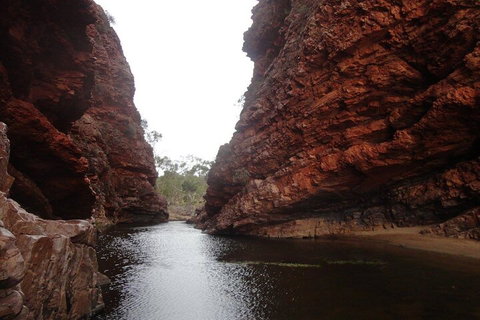 West MacDonnell Ranges Half - Day Tour - Restaurant Guide 4