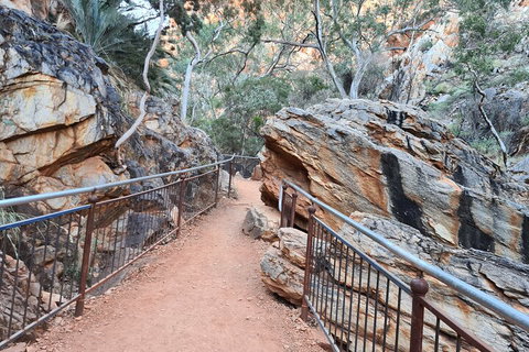 West MacDonnell Ranges Half-Day Private Charter Guided Tour - Restaurant Guide 0
