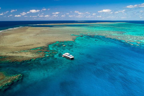 Calypso Outer Great Barrier Reef Cruise From Port Douglas - Restaurant Guide 1