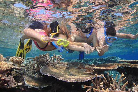 Calypso Outer Great Barrier Reef Cruise From Port Douglas - Restaurant Guide 3