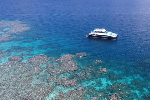 Calypso Outer Great Barrier Reef Cruise From Port Douglas - Restaurant Guide 4