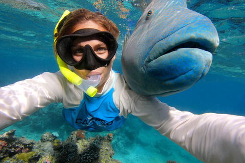 Calypso Outer Great Barrier Reef Cruise From Port Douglas - Restaurant Guide 5