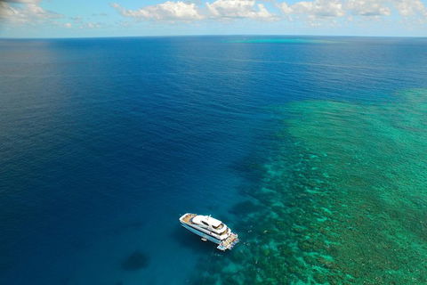 Great Barrier Reef Snorkeling And Diving Cruise From Cairns - Restaurant Guide 4