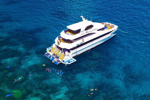 Great Barrier Reef Snorkeling And Diving Cruise From Cairns - Restaurant Guide 5