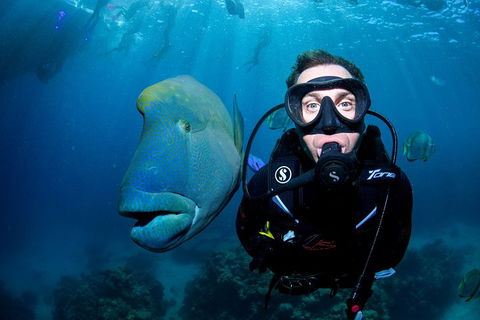 Full Day Reef Cruise Including 10 Minute Heli Scenic Flight: Get High Package - Restaurant Guide 1