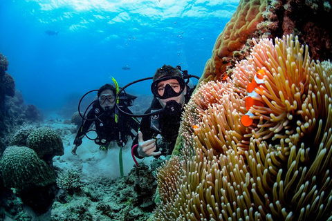 Full Day Reef Cruise Including 10 Minute Heli Scenic Flight: Get High Package - Restaurant Guide 5