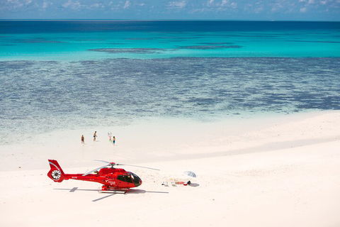 Private Helicopter Tour: Reef Island Snorkeling And Gourmet Picnic Lunch - Restaurant Guide 2