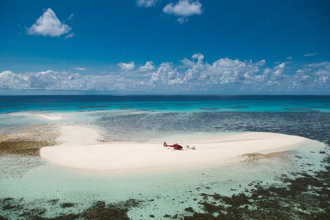 Private Helicopter Tour: Reef Island Snorkeling And Gourmet Picnic Lunch - Restaurant Guide 4